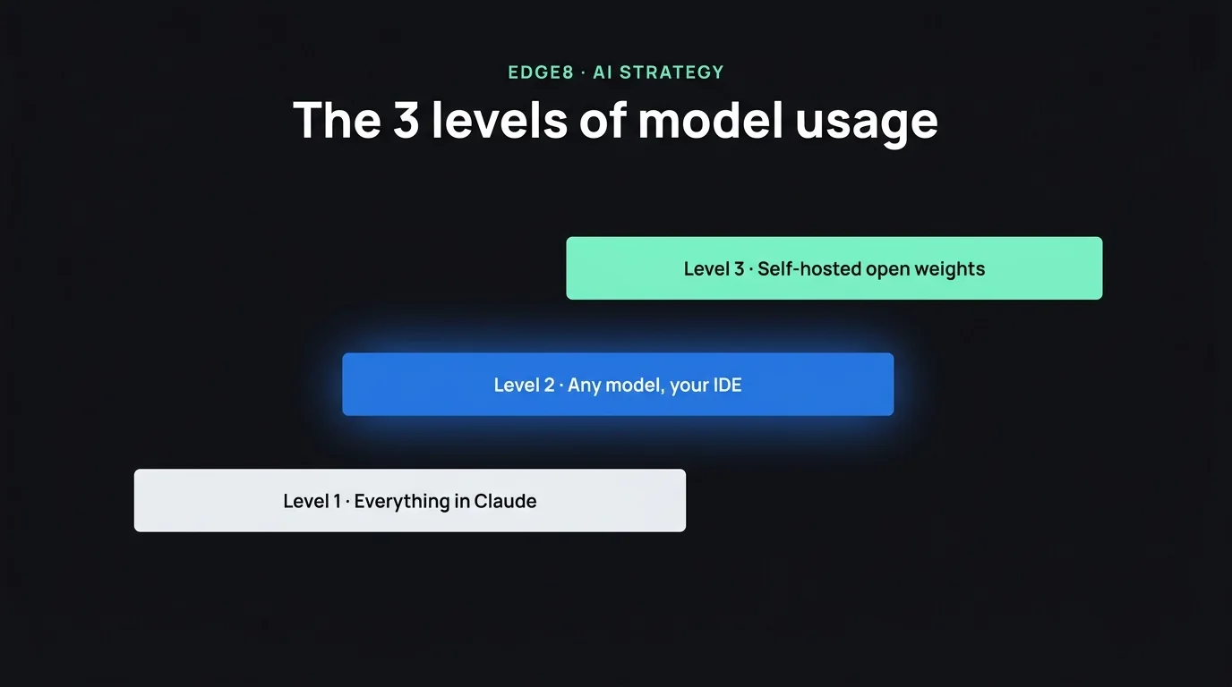 The 3 Levels of AI Model Usage